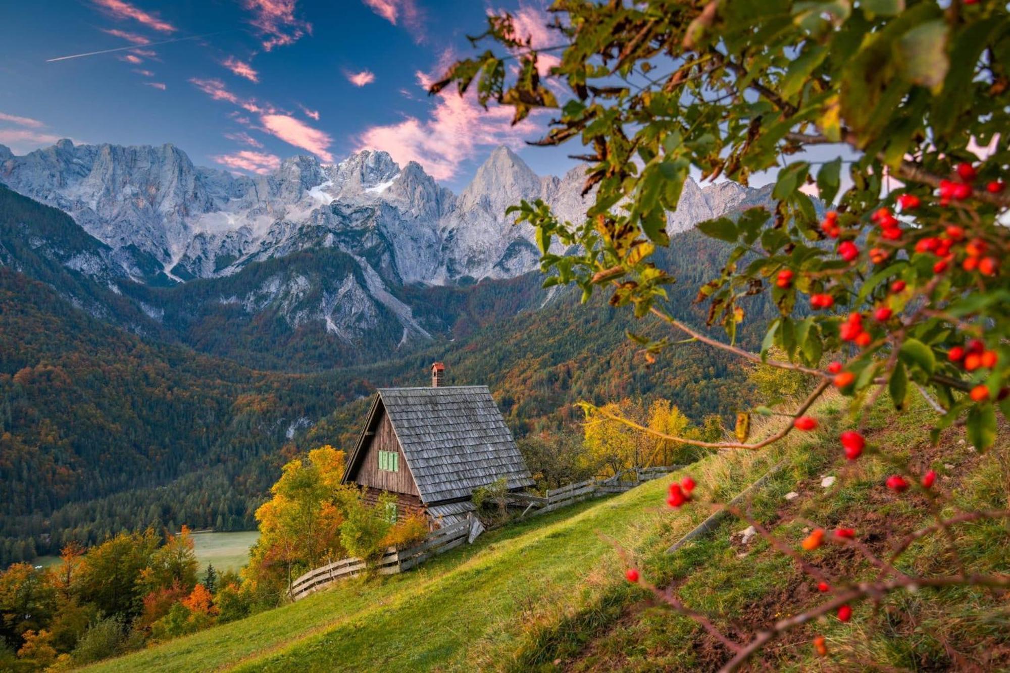 Sunny Retreat Apartment Краньска Гора Экстерьер фото